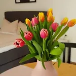 Apartment & Relax -gemuetliche Nur Minuten Zur Gerlitzen