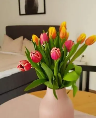 Apartament Kozma Peterlewand